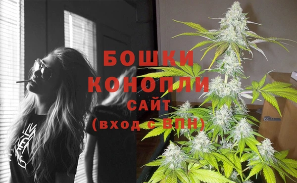 гидра Михайловка