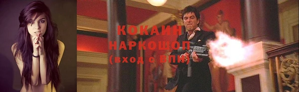 гидра Михайловка